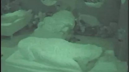 男Fucks 女性 向け アニメ えろ tattooed金髪のサブ