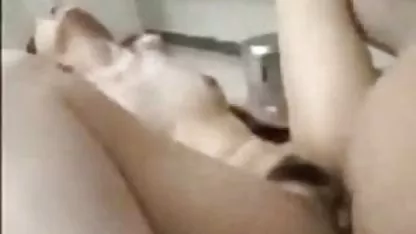 Spiedアジアの擦り滑り 無料 えろ 動画 鈴木 一徹